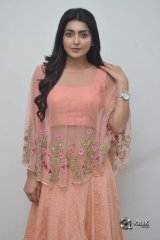 Avantika Mishra At Vaishakham Movie Success meet